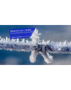 HYT Pro : Dégivrant, Antigel & Déneigeant PRO 32, 46, 82, 47