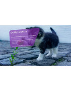 HYTPRO (32, 82, 46) : Hygiène Animale, Désinfection Chenil Occitanie