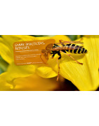 HYTPRO : Insecticides Pro, Répulsifs et Désinsectisation Sud-Ouest